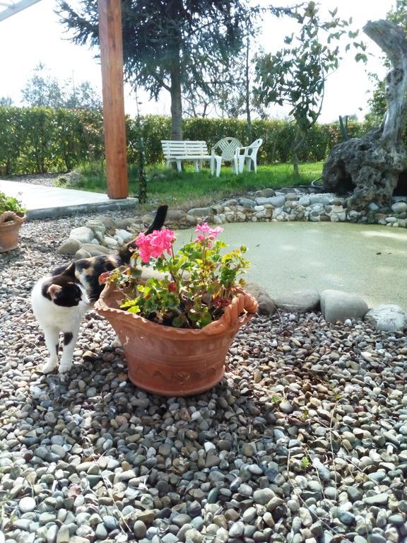 Dimora Antonianna In Valle D'Itria Locorotondo Eksteriør billede