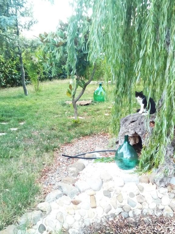 Dimora Antonianna In Valle D'Itria Locorotondo Eksteriør billede